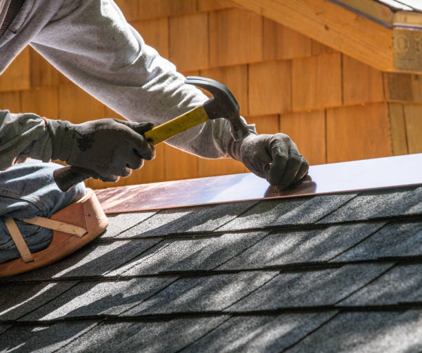 Roof Gutter Cleaning in Omaha, NE